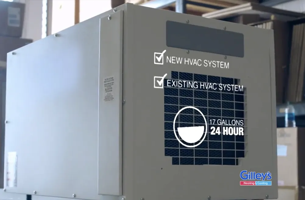 The Importance of Whole-Home Dehumidification